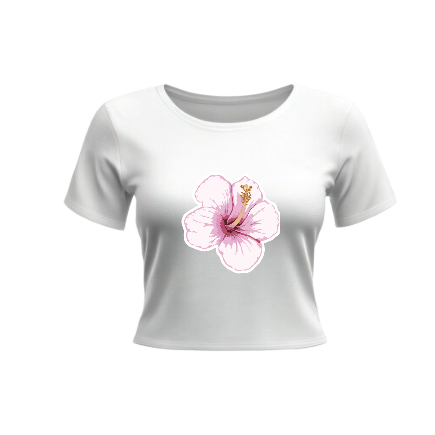 Hibiscus White
